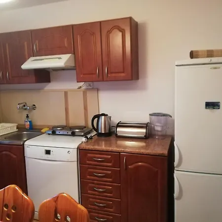 Apartament W Gorach W Beskidzie Zywieckim Gmina Koszarawa 26 Km Od Zywca,20 Km Od Suchej Beskidzkiej Exterior photo