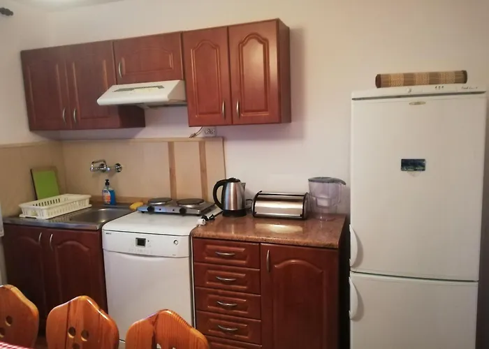 Apartament W Gorach W Beskidzie Zywieckim Gmina Koszarawa 26 Km Od Zywca,20 Km Od Suchej Beskidzkiej
