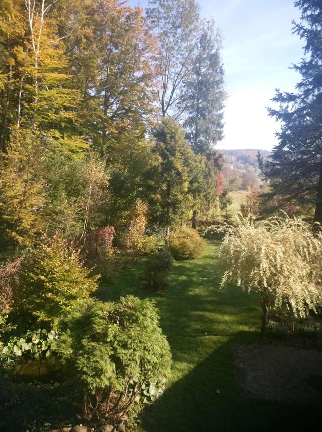 Apartment W Gorach W Beskidzie Zywieckim Gmina Koszarawa 26 Km Od Zywca,20 Km Od Suchej Beskidzkiej Zywiec